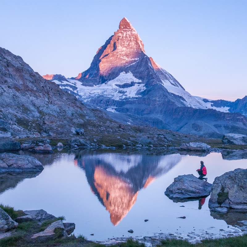 soñar con alpes